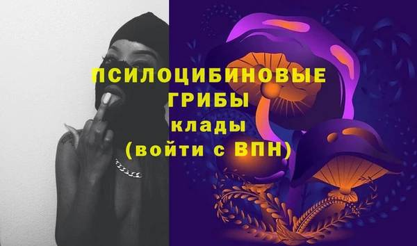 твердый Верея