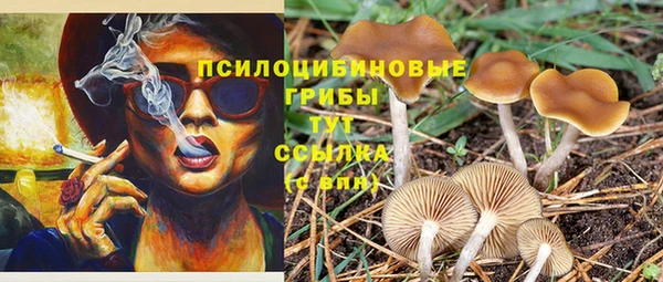 твердый Верея