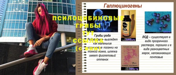 твердый Верея