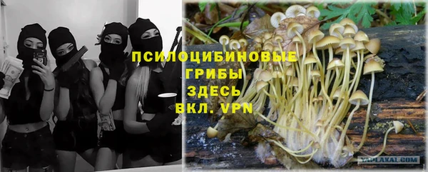 соль курить ск Верхний Тагил
